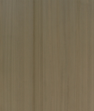 6161PN