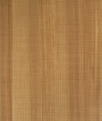 6497AN